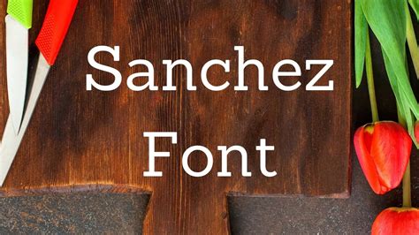 sanchez font family free download